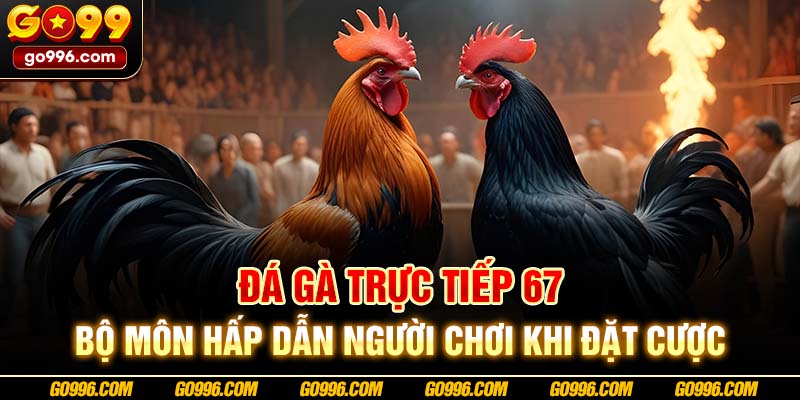 Đá gà trực tiếp 67- Bộ môn hấp dẫn người chơi khi đặt cược