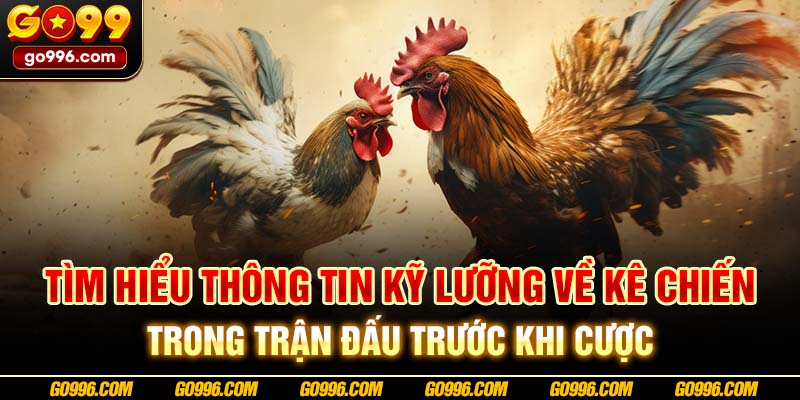 Tìm hiểu thông tin kỹ lưỡng về kê chiến trong trận đấu trước khi cược