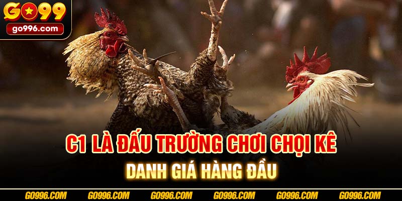 C1 là đấu trường chơi chọi kê danh giá hàng đầu