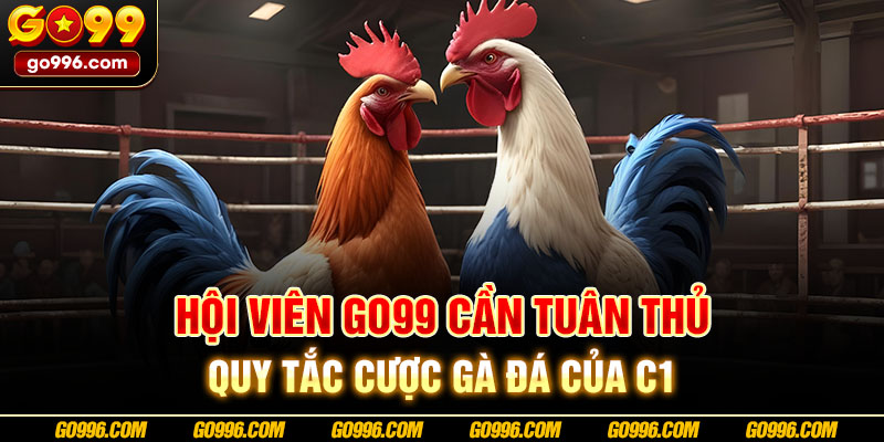 Hội viên GO99 cần tuân thủ quy tắc cược gà đá của C1